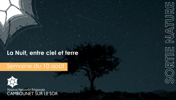 La Nuit, entre ciel et terre